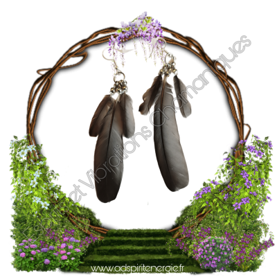 Boucles d'oreilles en plumes de merle  
