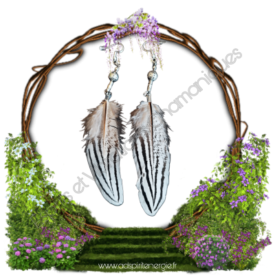 Boucles d'oreilles en plumes de poule blanche et argent  