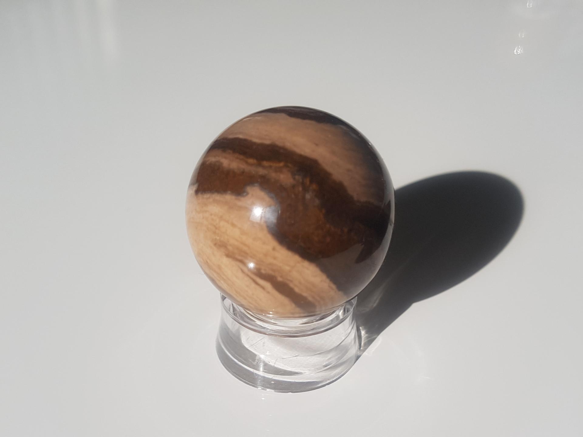 20190312 103927