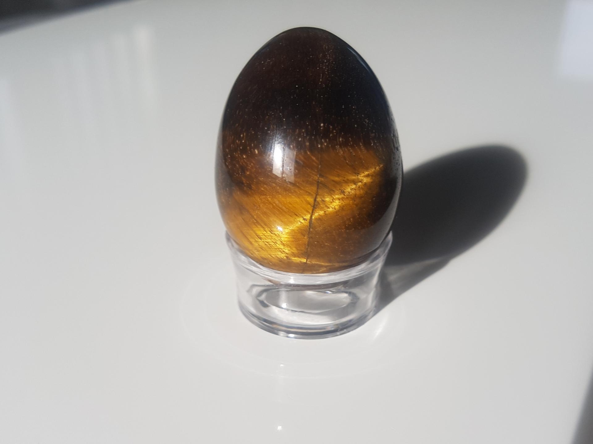 20190312 104154