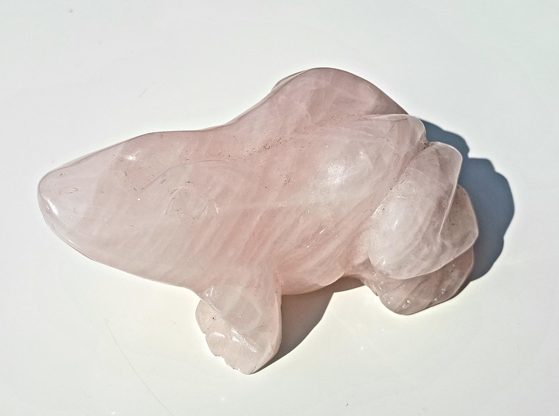 20200427 165409