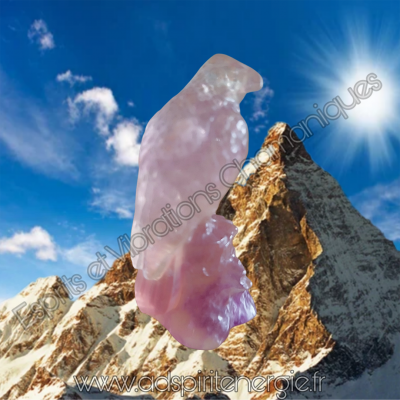 8 1