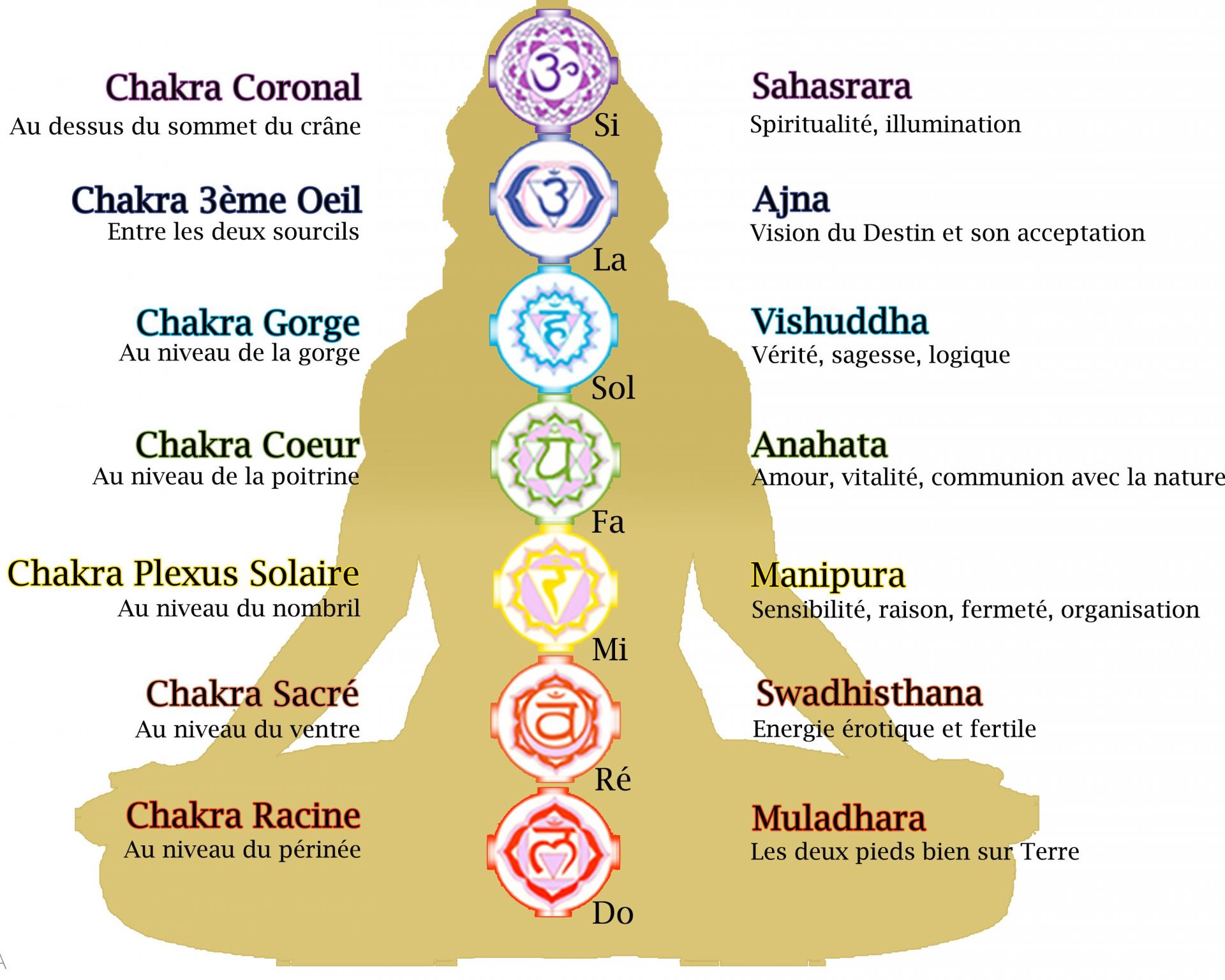 7chakras