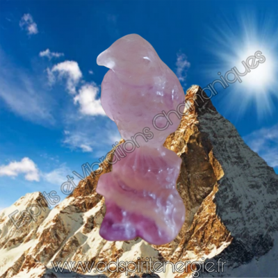 8 1