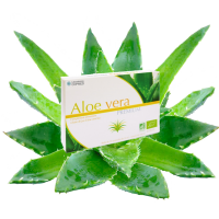 Ampoule aloe vera 1