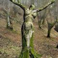 B771390a1811e65b892ed7a66cda4aad tree woman tree sculpture
