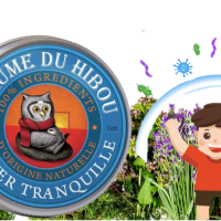 Baume hibou hiver tranquille
