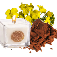 Bougie colza bois de santal
