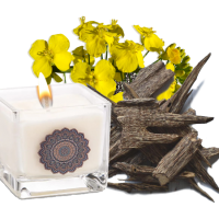 Bougie colza oudh