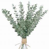Bouquet feuilles eucalyptus