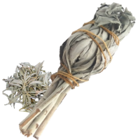 Bouquet sauge blanche