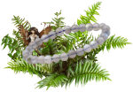 Brac labra 6mm aa 