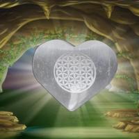 Coeur fleur de vie selenite