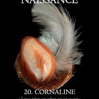 Cornaline naissance pdf 1
