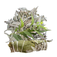Fagot sauge eucalyptus