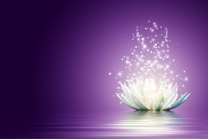 Fleur lotus meditation