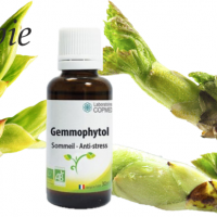 Gemmophytol sommeil stress