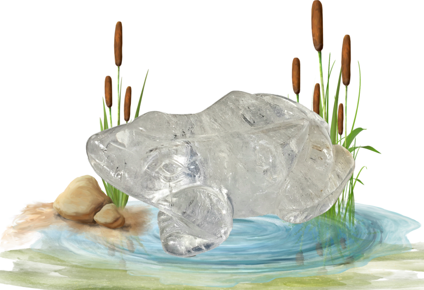 Grenouille cristal de roche