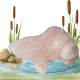Grenouille quartz rose