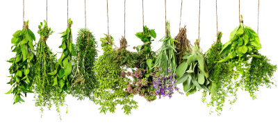 Herbs png hd