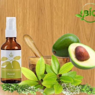 Huile avocat