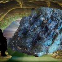 Labra semi polie dos