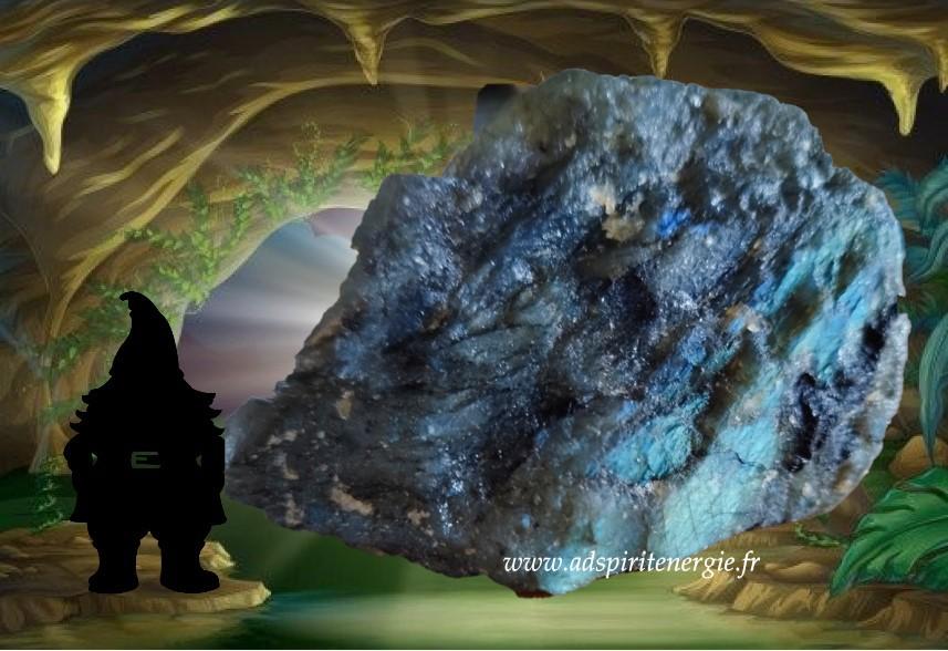 Labra semi polie dos