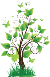 Nature png transparent