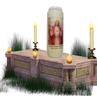 Neuveine coeur de jesus