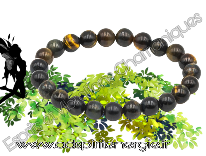 Oeeil de faucon 8 aa