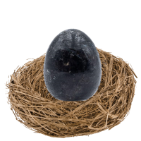 Oeuf hyperstene