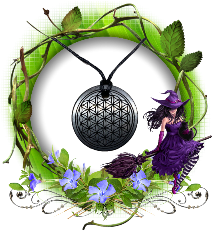 Pendentif shungite fleur de vie