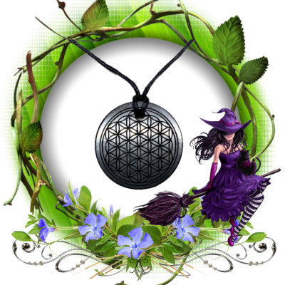 Pendentif shungite fleur de vie