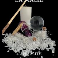 Petalite la magie pdf 1