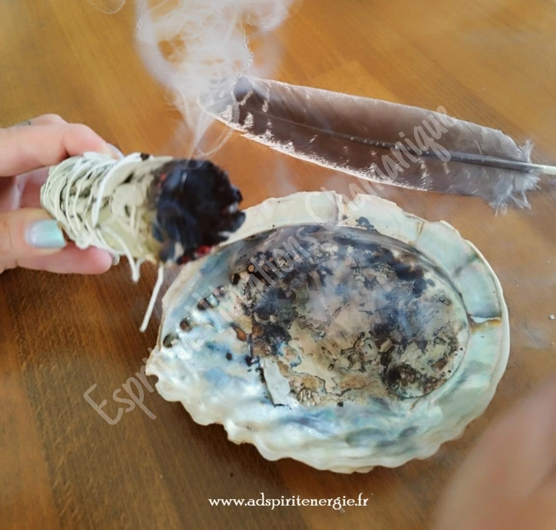 Picsart 24 08 19 14 18 12 399