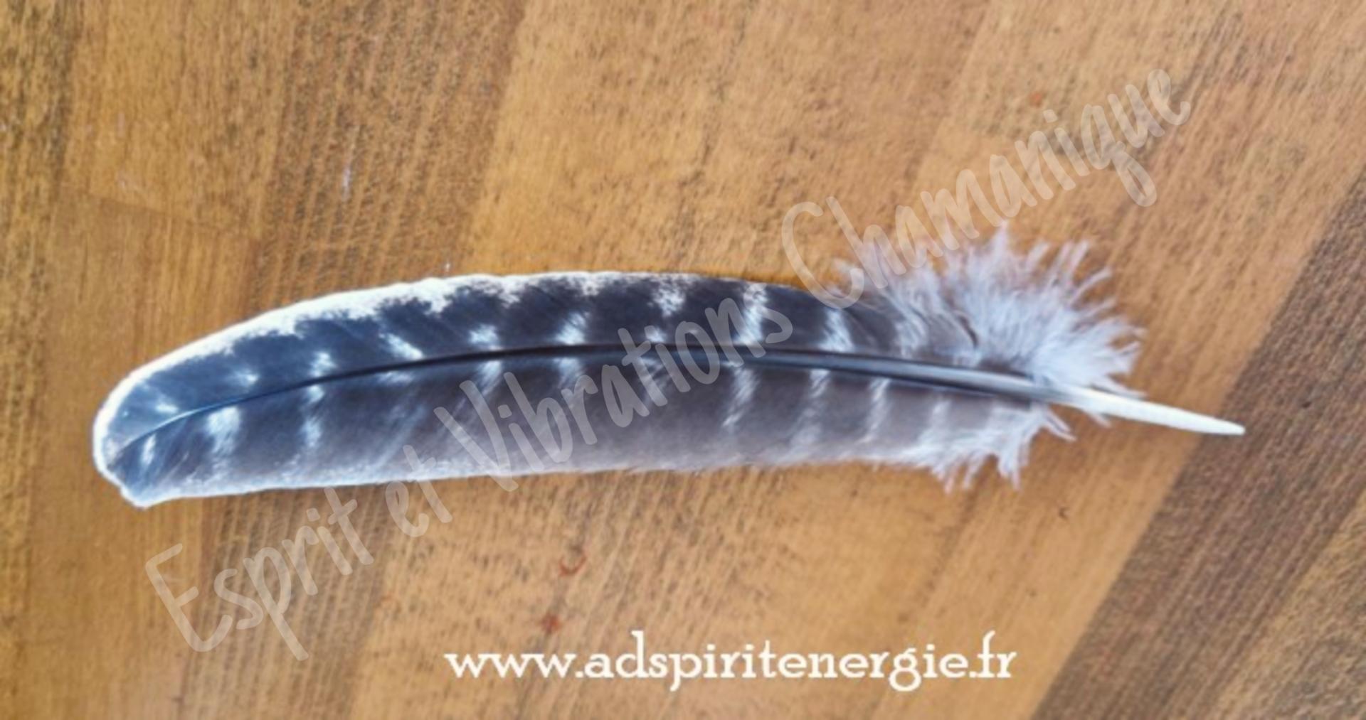 Picsart 24 08 19 14 19 11 108