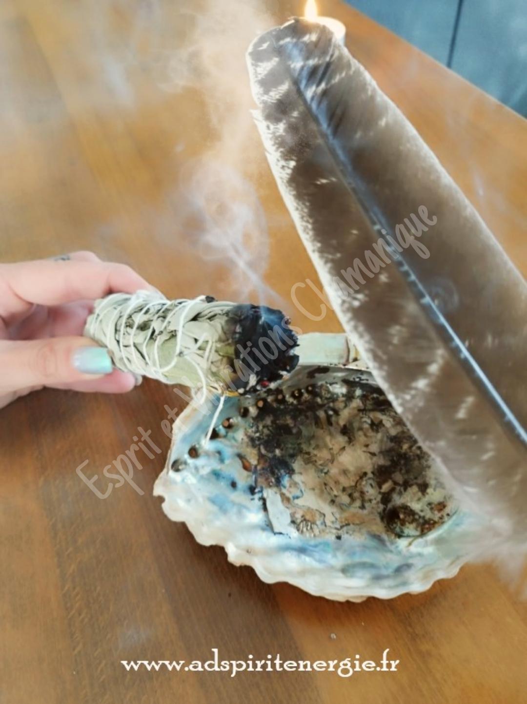 Picsart 24 08 19 14 20 32 041