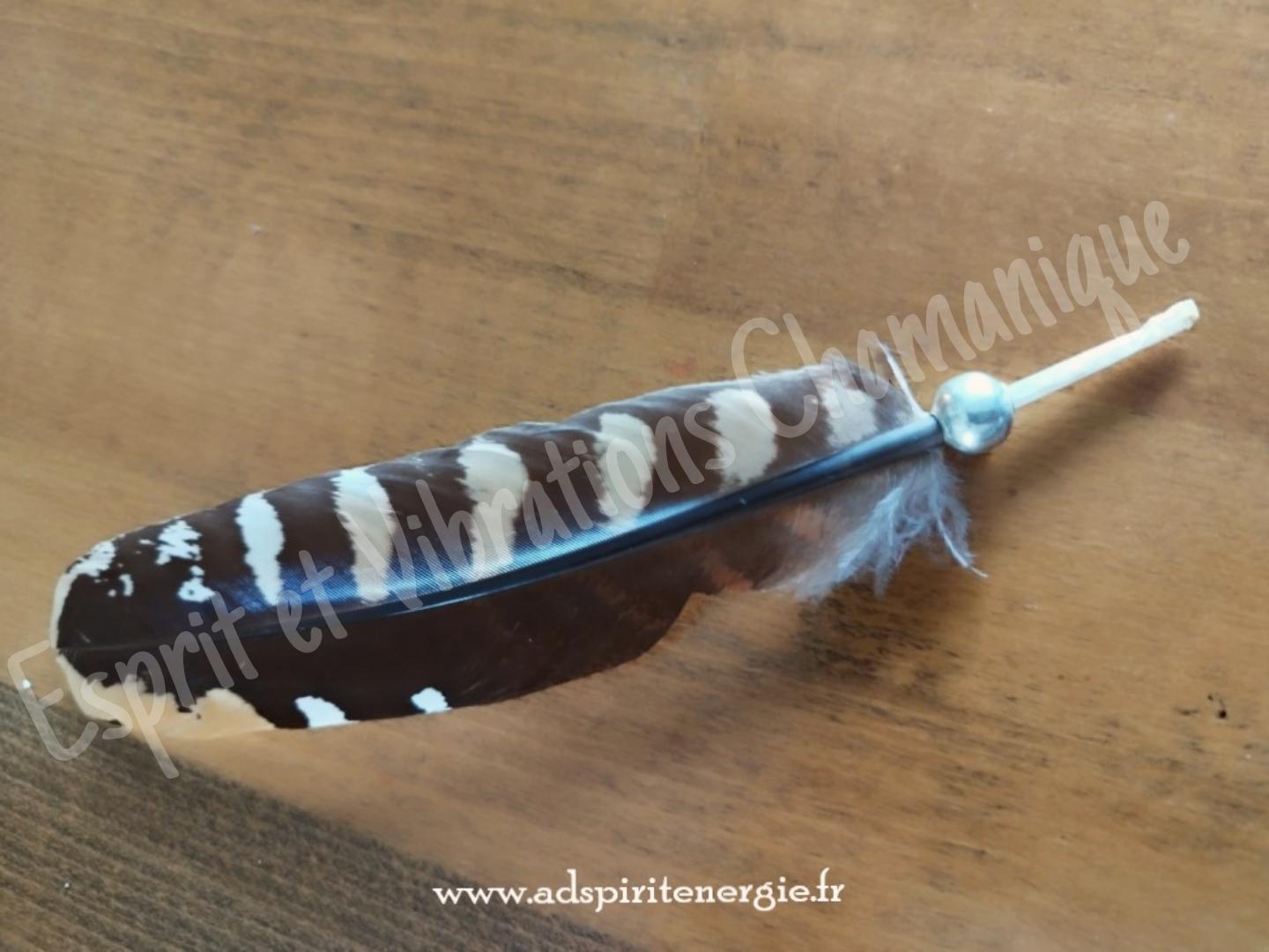 Picsart 24 08 19 14 37 35 986