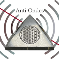 Pyramide shungite fleur de vie