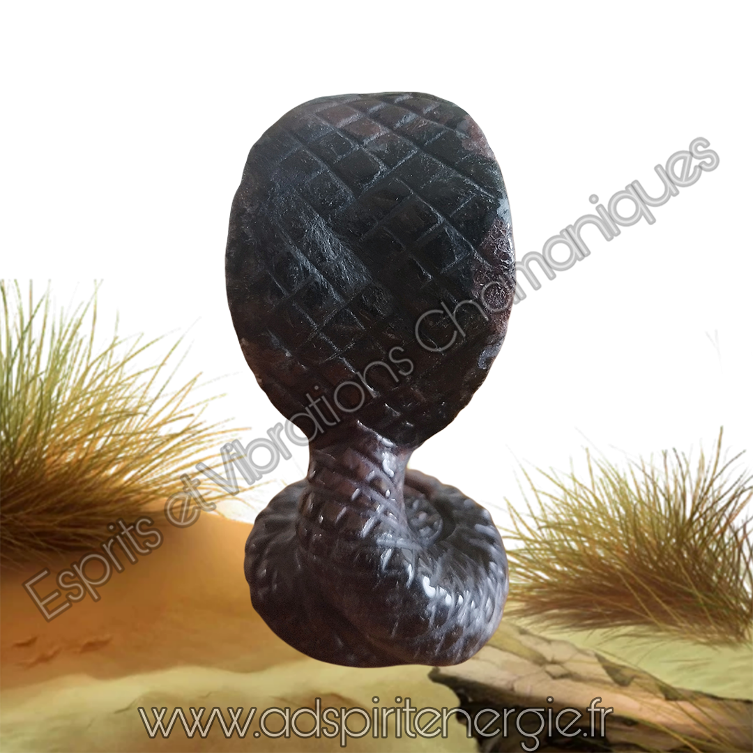 Sans titre 2 1 copie