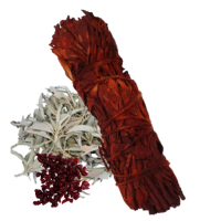 Sauge et sang de dragon