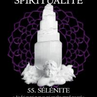 Selenite spiritualite pdf 1
