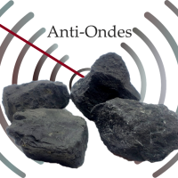 Shungite brute