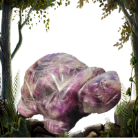 Tortue amethyste