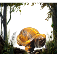 Tortue oeil de tigre